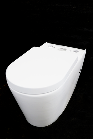 Alzano Rimless Toilet Suite Pan Thick Seat