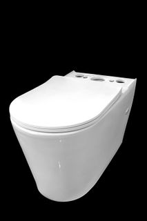 Alzano Rimless Toilet Suite Pan Slim Seat