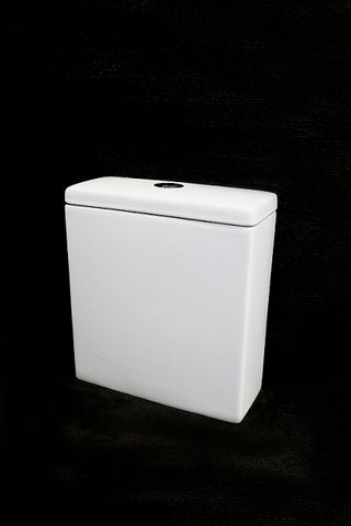 Alzano Rimless Cistern Geberit