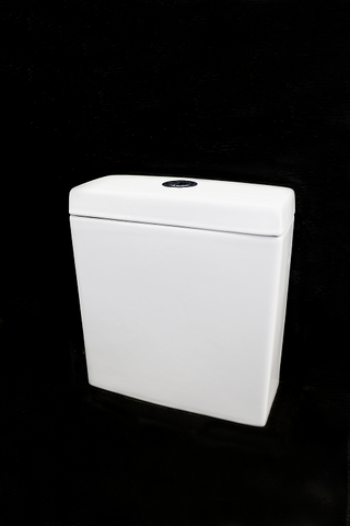 Deluso Rimless Cistern