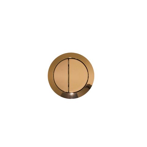 Round Dual Flush Button in Brushed Brass, Flush Button