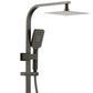 Taran 250mm Gun Metal Twin Shower On Rail Top Inlet Square