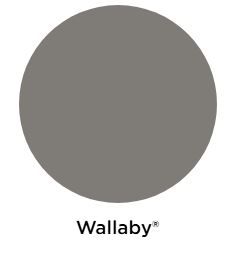 COLORBOND Steel Flat Sheet 2400 mm x 1200 mm - WALLABY