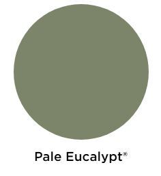 COLORBOND Steel Flat Sheet 2400 mm x 1200 mm - PALE EUCALYPT