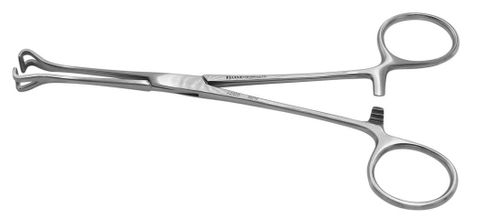 BABCOCK TISSUE FORCEPS