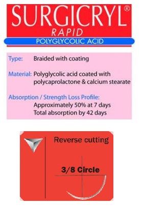 SUTURE SURGICRYL RAPID 5/0 12MM 75CM UD