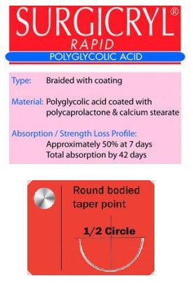 SUTURE SURGICRYL RAPID 5/0 17MM 75CM UD