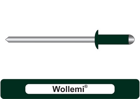 401000.9200 Wollemi® Aluminium Rivets with Steel Stem - Dome Head