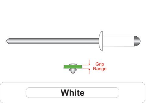 401200.8900 White Steel Rivets with Steel Stem - Dome Head