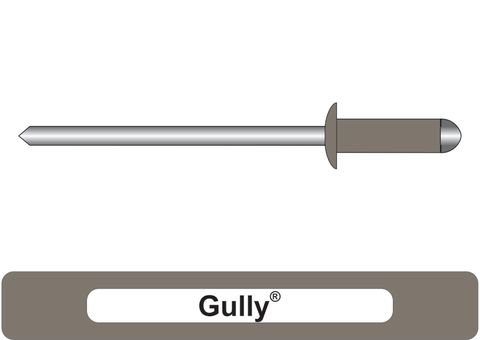 401000.4100 Gully® Aluminium Rivets with Steel Stem - Dome Head