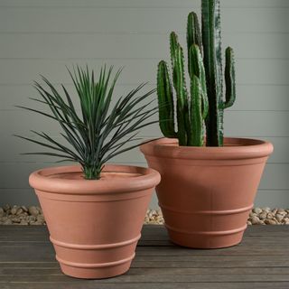 Large Pots & Planters