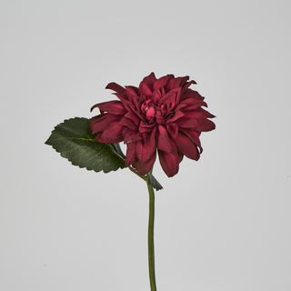 Red Dahlia 28cm