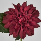 Red Dahlia 28cm