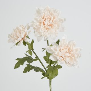 Blush Pink Chrysanthemum Spray x 3