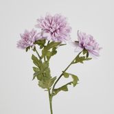 Lavender Chrysanthemum Spray x 3