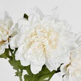 White Chrysanthemum Spray x 3