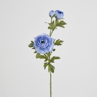 Slate Blue Ranunculus Spray x 3