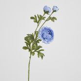 Slate Blue Ranunculus Spray x 3