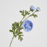 Slate Blue Ranunculus Spray x 3