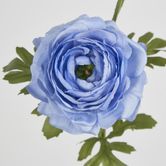 Slate Blue Ranunculus Spray x 3