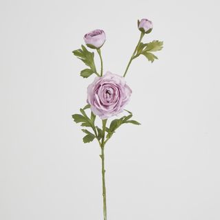 Dusty Lavender Ranunculus Spray x 3