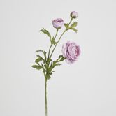 Dusty Lavender Ranunculus Spray x 3