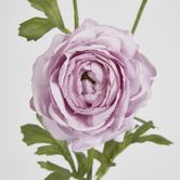 Dusty Lavender Ranunculus Spray x 3