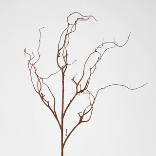 Coated Twig Branches 104CM Brown