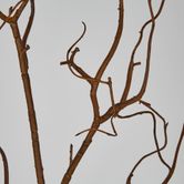 Coated Twig Branches 104CM Brown