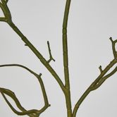 Green Twig Branch 104cm