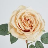 Butter Cream Rose 63cm