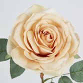 Butter Cream Rose 63cm