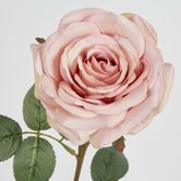 Dusty Pink Rose 63cm