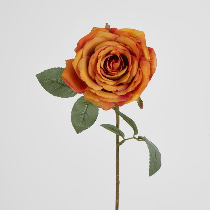 Yellow Gold Rose 63cm