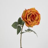 Yellow Gold Rose 63cm