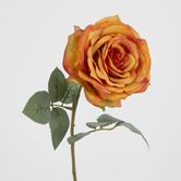 Yellow Gold Rose 63cm