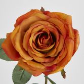 Yellow Gold Rose 63cm