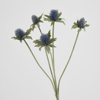 Dusty Blue Thistle Spray x 5