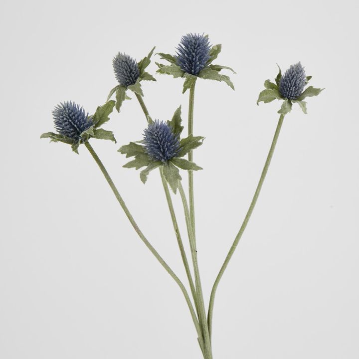 Dusty Blue Thistle Spray x 5