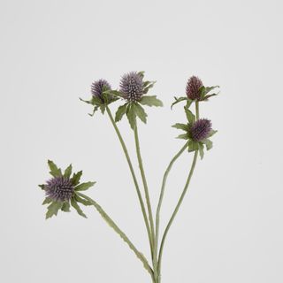 Purple Thistle Spray x 5