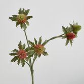 Red Green Thistle Spray x 5