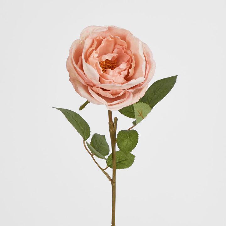 63cm Blush Pink Cabbage Rose