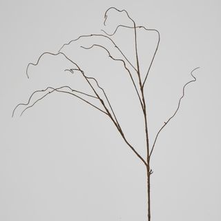 Brown Twig