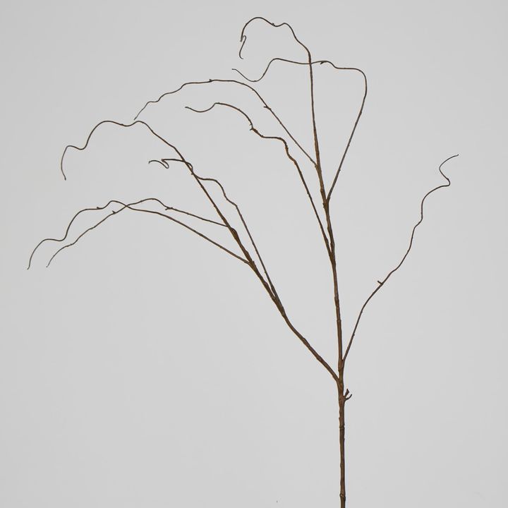 Brown Twig