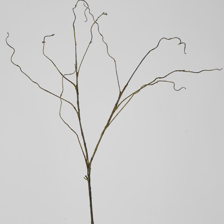 Dark Brown Twig