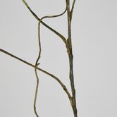 Dark Brown Twig