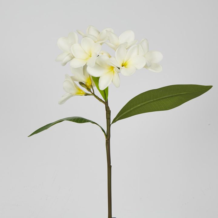 White Plumeria Spray