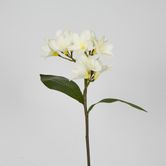 White Plumeria Spray