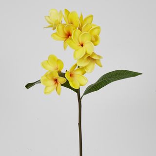 Yellow Plumeria Spray