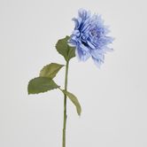 62cm Blue Dahlia